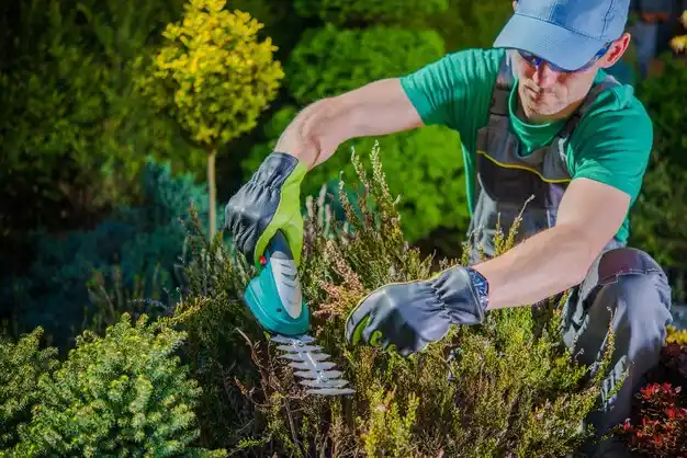 landscaping services Wellsburg